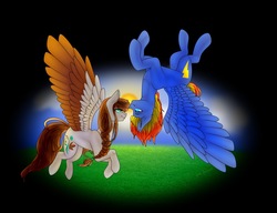 Size: 1280x985 | Tagged: safe, artist:alanafox, oc, oc only, oc:scarlett drop, oc:wing hurricane, pegasus, pony, blue coat, blue eyes, brown mane, cute, emerald eyes, eye contact, female, flying, grass, gray coat, large wings, looking at each other, love, male, mare, oc x oc, pegasus oc, pigtails, red mane, scarricane, shipping, sky, smiling, spread wings, stallion, straight, sun, wings, yellow mane