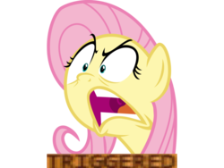 Size: 960x720 | Tagged: safe, edit, vector edit, fluttershy, pony, g4, female, meme, simple background, solo, transparent background, triggered, vector