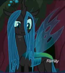 Size: 241x272 | Tagged: safe, screencap, queen chrysalis, changeling, changeling queen, g4, the mean 6, bewildered, cropped, discovery family logo, female, former queen chrysalis, raised eyebrow, solo