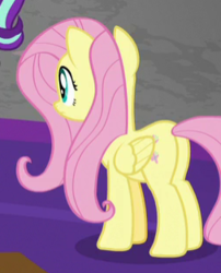 Size: 253x313 | Tagged: safe, screencap, fluttershy, g4, the mean 6, butt, cropped, plot