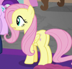 Size: 300x287 | Tagged: safe, screencap, fluttershy, g4, the mean 6, butt, cropped, plot