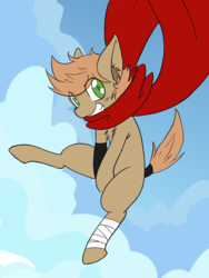 Size: 3024x4032 | Tagged: safe, artist:steelsoul, oc, oc:himmel, bandage, clothes, scarf, sky, smiling, tail band