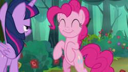 Size: 1920x1080 | Tagged: safe, screencap, pinkie pie, twilight sparkle, alicorn, earth pony, pony, g4, the mean 6, belly, bipedal, cute, diapinkes, duo, everfree forest, eyes closed, female, flower, forest, mare, rose, smiling, standing, twilight sparkle (alicorn), unamused