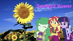 Size: 2048x1153 | Tagged: safe, editor:php77, sunset shimmer, wallflower blush, equestria girls, g4, flower, sunflower