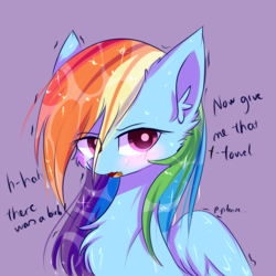 Size: 1700x1700 | Tagged: dead source, safe, artist:heddopen, rainbow dash, pegasus, pony, g4, angry, birb, blushing, chest fluff, cute, dashabetes, dialogue, ear fluff, female, shaking, solo, tsunderainbow, tsundere, wet mane, wings