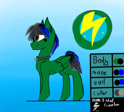 Size: 2000x1800 | Tagged: safe, artist:endelthepegasus, oc, oc only, oc:endel frostlion, pegasus, pony, male, reference sheet, solo