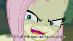 Size: 1823x1024 | Tagged: safe, edit, edited screencap, screencap, mean fluttershy, pegasus, pony, .mov, shed.mov, g4, the mean 6, caption, clone, female, fluttershed, image macro, mare, meme, solo, y'all