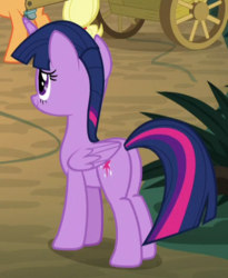 Size: 378x461 | Tagged: safe, screencap, twilight sparkle, alicorn, pony, g4, the mean 6, butt, cropped, female, plot, solo, twibutt, twilight sparkle (alicorn)