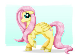 Size: 1600x1131 | Tagged: safe, artist:jotakaanimation, fluttershy, pegasus, pony, g4, female, mare, simple background, solo