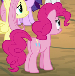 Size: 394x399 | Tagged: safe, screencap, fluttershy, pinkie pie, earth pony, pony, g4, the mean 6, butt, cropped, plot