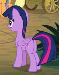 Size: 368x462 | Tagged: safe, screencap, twilight sparkle, alicorn, pony, g4, the mean 6, butt, cropped, plot, twilight sparkle (alicorn)