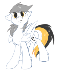 Size: 668x805 | Tagged: dead source, safe, artist:hioshiru, oc, oc only, oc:kej, pegasus, pony, chest fluff, floppy ears, male, simple background, solo, white background