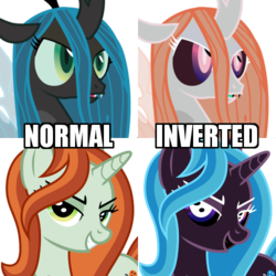 Size: 500x500 | Tagged: safe, artist:cheezedoodle96, artist:marinapg, edit, crackle cosette, queen chrysalis, changeling, changeling queen, pony, unicorn, g4, the mean 6, camera, comparison, disguise, disguised changeling, evil, evil smile, female, fridge brilliance, green eyes, grin, inverted colors, looking at you, mare, mind blown, simple background, smiling, solo, transparent background