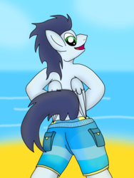 Size: 3024x4032 | Tagged: safe, artist:tacomytaco, soarin', pegasus, pony, g4, beach, bipedal, butt, clothes, male, partial nudity, plot, shorts, solo, speedo, swimsuit, topless