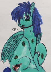 Size: 2061x2895 | Tagged: safe, artist:rapidsnap, oc, oc only, oc:rapidsnap, pony, blood, bruised, solo, traditional art