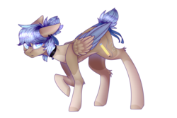 Size: 3460x2310 | Tagged: safe, artist:honeybbear, oc, oc only, oc:emily, pegasus, pony, female, high res, mare, simple background, solo, transparent background, two toned wings