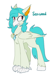 Size: 582x759 | Tagged: safe, artist:redxbacon, oc, oc only, oc:sea weed, hippogriff, simple background, solo, white background