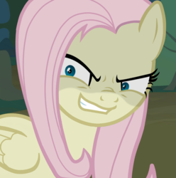 Size: 1276x1284 | Tagged: safe, edit, edited screencap, screencap, mean fluttershy, pegasus, pony, g4, the mean 6, clone, creepy, cropped, female, flutterbitch, solo