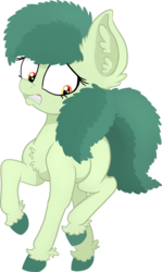 Size: 1706x2853 | Tagged: safe, artist:paskanaakka, derpibooru exclusive, oc, oc only, oc:bittergreen, pony, chest fluff, colored hooves, ear fluff, female, filly, simple background, solo, transparent background, unshorn fetlocks, younger