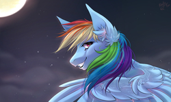 Size: 2405x1437 | Tagged: safe, artist:kindly-fox, rainbow dash, pegasus, pony, g4, female, looking back, mare, night, smiling, solo