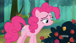Size: 1920x1080 | Tagged: safe, screencap, pinkie pie, pony, g4, the mean 6, female, flower, rose, solo