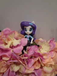 Size: 3456x4608 | Tagged: safe, rarity, equestria girls, g4, airport, doll, equestria girls minis, eqventures of the minis, female, flower, irl, photo, singapore, toy