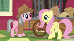 Size: 640x360 | Tagged: safe, screencap, fluttershy, wrangler, earth pony, pegasus, pony, fluttershy leans in, g4, clothes, cowboy hat, duo, duo female, female, hat, mare, safari jacket, shirt, stetson