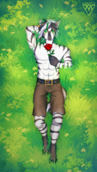Size: 731x1300 | Tagged: safe, artist:margony, oc, oc only, zebra, anthro, unguligrade anthro, anthro oc, armpits, boots, clothes, commission, digital art, flower, grass, green eyes, looking up, lying down, male, pants, romantic, rose, shoes, signature, solo, zebra oc