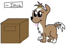 Size: 1920x1080 | Tagged: safe, artist:cherry1cupcake, oc, oc only, oc:inca, dog, box, markings, solo, stray, tongue out