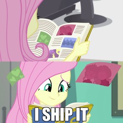 Size: 1475x1475 | Tagged: safe, edit, edited screencap, screencap, fluttershy, sci-twi, sunset shimmer, twilight sparkle, equestria girls, equestria girls specials, g4, my little pony equestria girls: better together, my little pony equestria girls: forgotten friendship, female, lesbian, ship:sci-twishimmer, ship:sunsetsparkle, shipper on deck, shipping