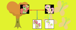 Size: 1427x557 | Tagged: safe, artist:alphamonouryuuken, artist:kianamai, fluttershy, tree hugger, oc, oc:anthea, oc:flower crown, kilalaverse, kilalaverse ii, g4, cutie mark, family tree, magical lesbian spawn, next generation, offspring, parent:fluttershy, parent:tree hugger, parents:flutterhugger, story included