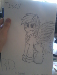 Size: 1200x1600 | Tagged: safe, artist:terminalhash, rainbow dash, pony, g4, female, request, sketch, solo, traditional art