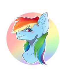 Size: 790x874 | Tagged: safe, artist:foxlove253, rainbow dash, pony, g4, bust, ear fluff, female, solo