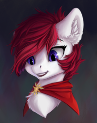 Size: 1686x2122 | Tagged: safe, artist:rokufuro, oc, oc only, pony, bust, cape, chest fluff, clothes, portrait, smiling, solo, ych result
