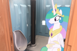 Size: 1920x1271 | Tagged: safe, princess celestia, pony, g4, horse play, but why, implied pooping, irl, photo, ponies in real life, porta potty, sitting, sitting on toilet, solo, toilet, wat