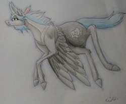 Size: 1920x1579 | Tagged: safe, artist:willowwildspirt, oc, oc only, oc:cloudy night, pegasus, pony, female, mare, solo, traditional art