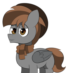 Size: 4000x4000 | Tagged: safe, artist:velvet rose, oc, oc only, oc:dusklight dawn, pegasus, pony, beanie, clothes, hat, male, scarf, simple, simple background, smiling, solo, stallion, transparent background