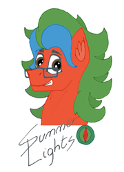Size: 3066x4260 | Tagged: safe, artist:summerium, oc, oc only, oc:summer lights, pony, cutie mark, ear fluff, glasses, long mane, male, mixed media, smiling, solo, text