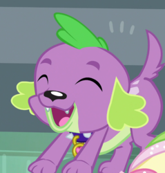 Size: 685x718 | Tagged: safe, screencap, spike, spike the regular dog, dog, equestria girls, equestria girls specials, g4, my little pony equestria girls: dance magic, cropped, eyes closed, male, paws, puppy, smiling