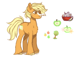 Size: 1099x855 | Tagged: safe, artist:pandemiamichi, oc, oc only, oc:apple spice, earth pony, pony, male, offspring, parent:applejack, parent:trouble shoes, parents:troublejack, reference sheet, simple background, solo, stallion, transparent background