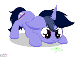 Size: 2797x2046 | Tagged: safe, artist:php142, oc, oc only, oc:purple flix, pony, unicorn, curious, cute, face down ass up, flower, high res, looking down, male, simple background, smiling, solo, stare, white background