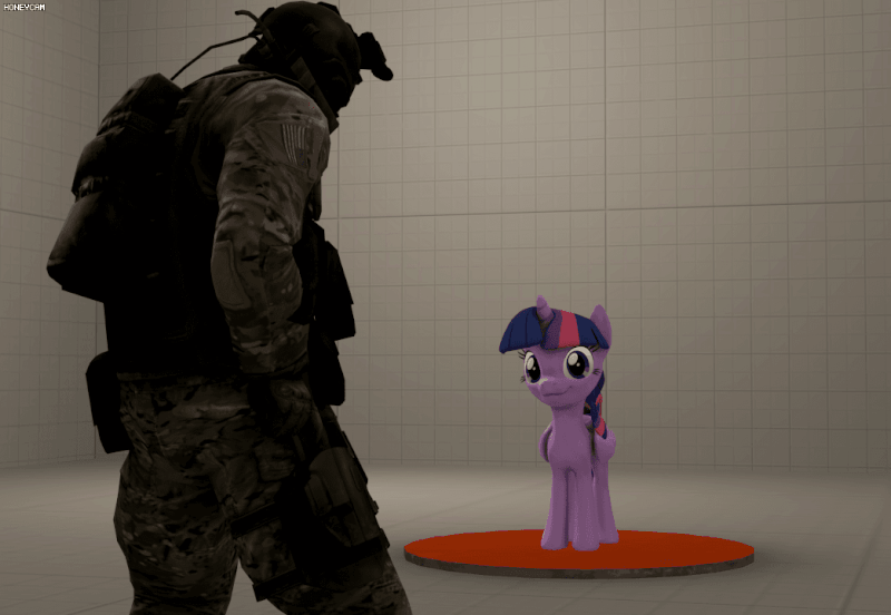 Kill pony. Пони террористы. Пони генерал.