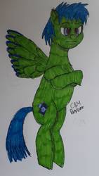 Size: 738x1312 | Tagged: safe, artist:rapidsnap, oc, oc only, oc:rapidsnap, pony, crossed arms, flying, solo, traditional art, unamused
