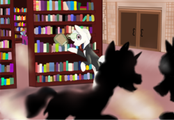 Size: 3978x2746 | Tagged: safe, artist:mr100dragon100, book, bookshelf, high res, library, story included, the inadvisable pony