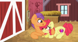 Size: 1202x656 | Tagged: safe, artist:starfalldawn, apple bloom, tender taps, earth pony, pony, g4, adorabloom, barn, blushing, cute, duo, female, heart necklace, jewelry, male, mare, necklace, older, older apple bloom, older tender taps, pregnant, prone, shipping, stallion, straight, tendaww taps, tenderbloom