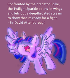 Size: 895x996 | Tagged: safe, artist:drawbauchery, edit, twilight sparkle, alicorn, pony, g4, female, implied spike, solo, text, twilight sparkle (alicorn)