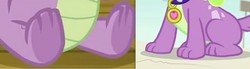 Size: 720x200 | Tagged: safe, spike, spike the regular dog, dog, dragon, equestria girls, equestria girls specials, g4, my little pony equestria girls: better together, my little pony equestria girls: forgotten friendship, the break up breakdown, claws, comparison, cute, feet, legs, male, paws, pictures of legs, toes