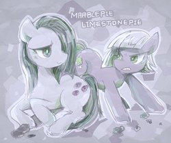 Size: 1024x858 | Tagged: safe, artist:osawari64, limestone pie, marble pie, earth pony, pony, g4, female, mare, scowl, sisters