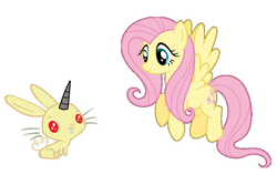 Size: 880x552 | Tagged: safe, fluttershy, almiraj, pegasus, pony, rabbit, g4, simple background, this will end in tears and/or death, white background