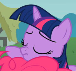 Size: 541x505 | Tagged: safe, screencap, pinkie pie, twilight sparkle, pony, feeling pinkie keen, g4, cropped, fluffy, fluffy tail, nose wrinkle, tail, tail on face, tell me your secrets